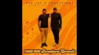 Tee Jay & ThackzinDJ – Izintombi ft. Nkosazana Daughter, Jessica LM