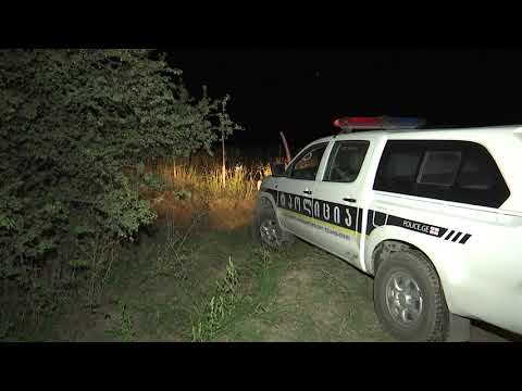 ყურძნის ქურდობის ფაქტი