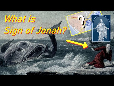What is the