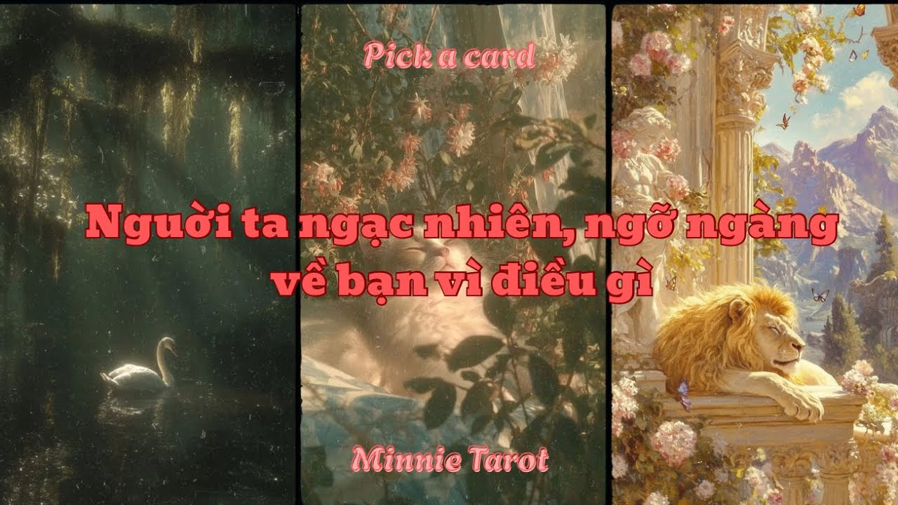 🌈Năm 2026 người ta ngạc nhiên, ngỡ ngàng về bạn vì điều gì 💝 | Minnie Tarot 