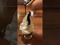 #softcream #chocolate #icecream #shorts #satisfyingvideo #satisfying #japan