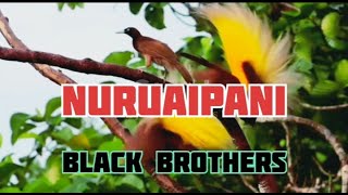 NURUAIPANI   BLACK BROTHERS