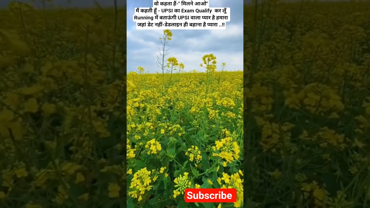 Sheet Lehar song🥶 