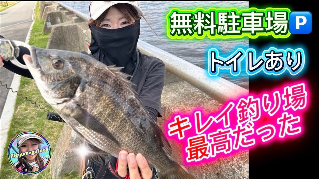 シーバスや、アジングもおすすめのポイントに、ヘチ釣り行ってみたら楽しすぎた【ヘチ落とし込み】【チヌ】【クロダイ】