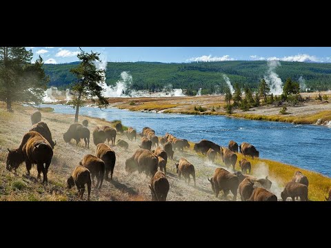 Video: 3 Meest Afgelegen Nationale Parken In De Verenigde Staten