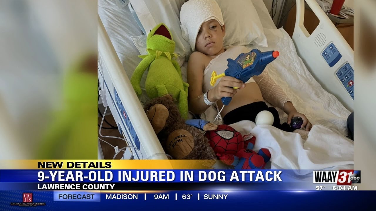 9-Year-Old Injured In Dog Attack - YouTube