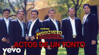 Conjunto Primavera - Actos De Un Tonto (Visualizer)