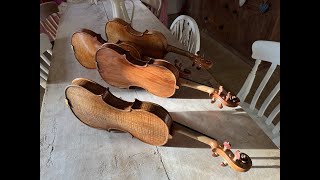 #49 Comparing Tonewoods. Maple, ash and applewood violins