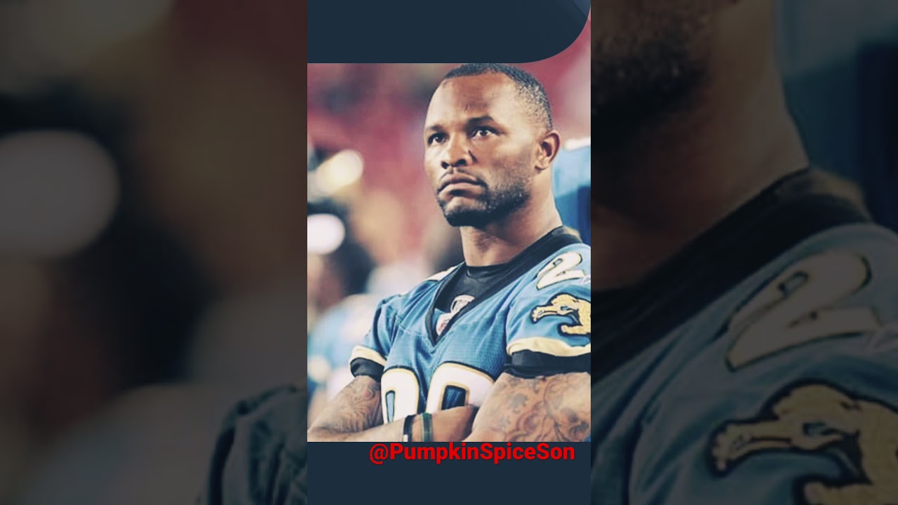 Florida Gators Football in the NFL