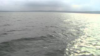 Michigan Smallmouth - 2014 Pro Team Journal Episode 11