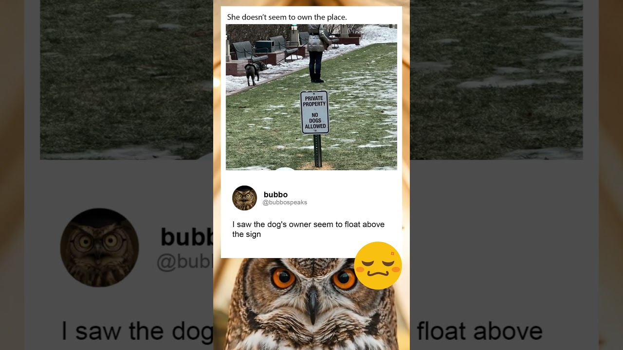 Вы тоже это видите?