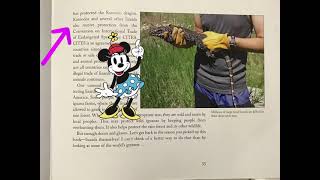 Nonfiction ML#4- Problem & Solution Text Structure