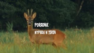 Poradnik wypadu w teren - Podchodzenie sarny / Wildlife hang out guide - sneaking up on roe deer