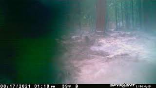 Time Lapse Footage Showing 6ft Flash Flooding