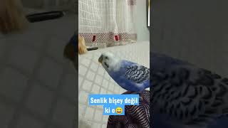 ne yediysem ona da verecekmişim😄💙🐦