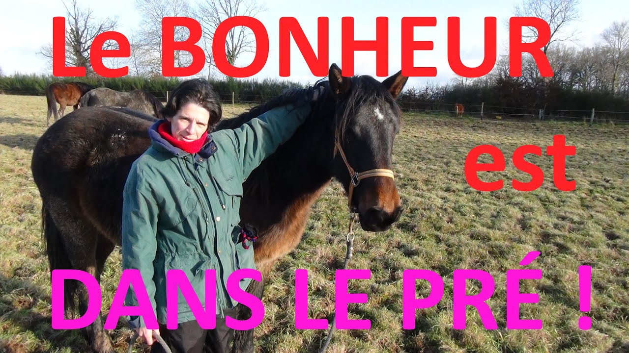 Le Bonheur Est Dans Le Pré Youtube le bonheur est dans le pré - YouTube