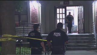 Boy, 16, allegedly shot, killed fellow teen: NYPD