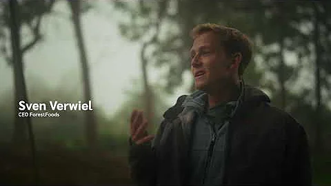 Ecological Restoration and Social Impact | Syntropic Agroforestry with ForestFoods, Kenya