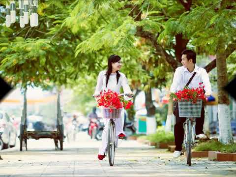 Video Ca cổ: Nhớ cha trong mùa phượng đỏ - Bích Ngọc (Đồng... - youtube