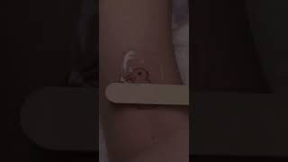 Cute bunny rabbit outline linework tattoo process artist Ziv #howtotattoo #tattootutorial #ideas