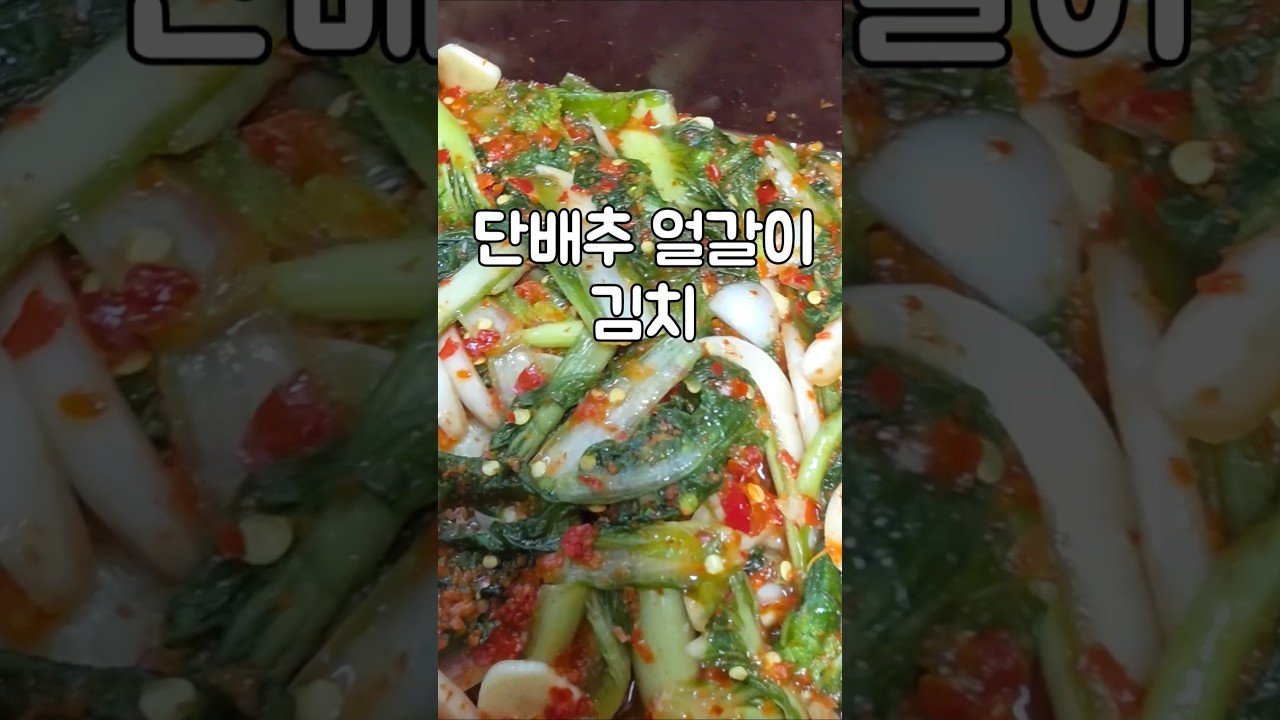 단배추 얼갈이 김치 만들기 레시피 숏폼 썸네일