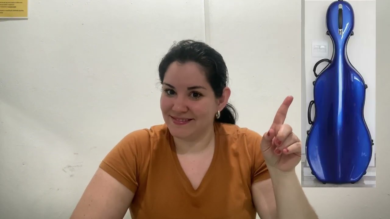 CAPA, BAGS OU CASES PARA VIOLONCELO?