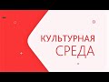 Программа «Культурная среда». «Белое пространство». Часть 2