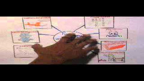 Fases para resolver un problema por computador UNELLEZ Ing Informática.