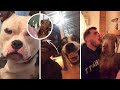 DO YOU KNOW WHY DOGS ARE SO FUNNY 😂🤣