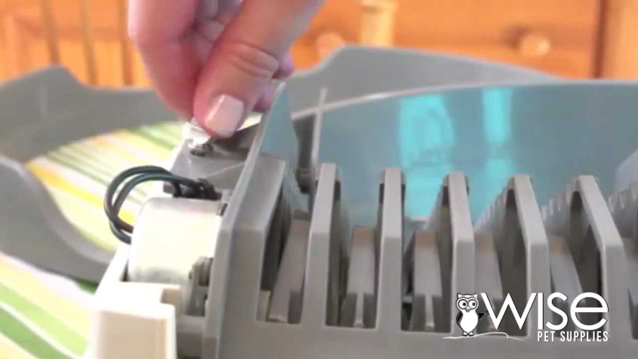 PetSafe Simply Clean Litter Box YouTube