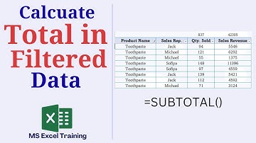 Totaal berekenen in gefilterde gegevens in Excel | Zelfstudie over de functie SUBTOTAAL