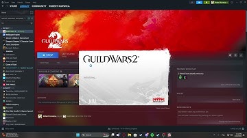 How To Launch Guild Wars 2 With Login Options On Steam