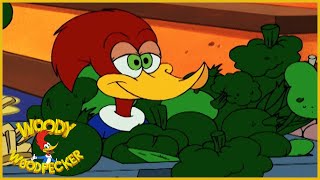 Woody Woodpecker Show | The Fabulous Foodbox by Scamco | Full Episode | Cartoons For Children