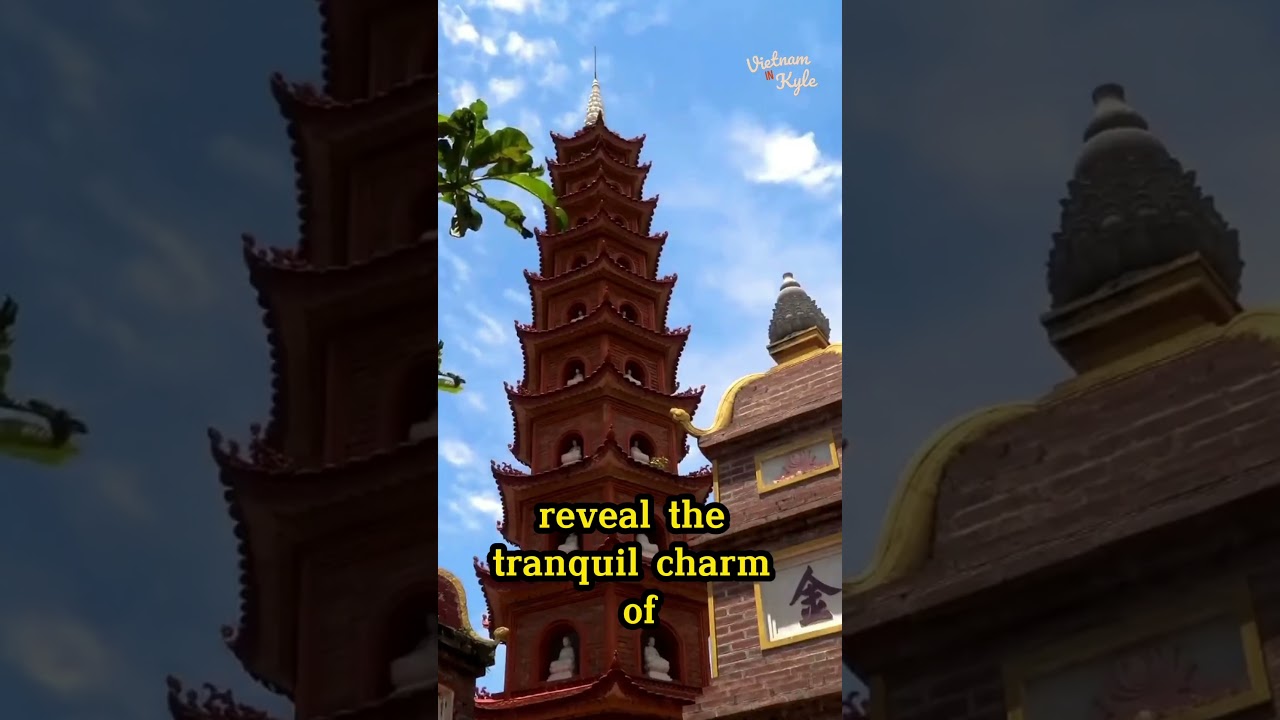 Welcome to Vietnam in Kyle - Understand Vietnam Like a Native 