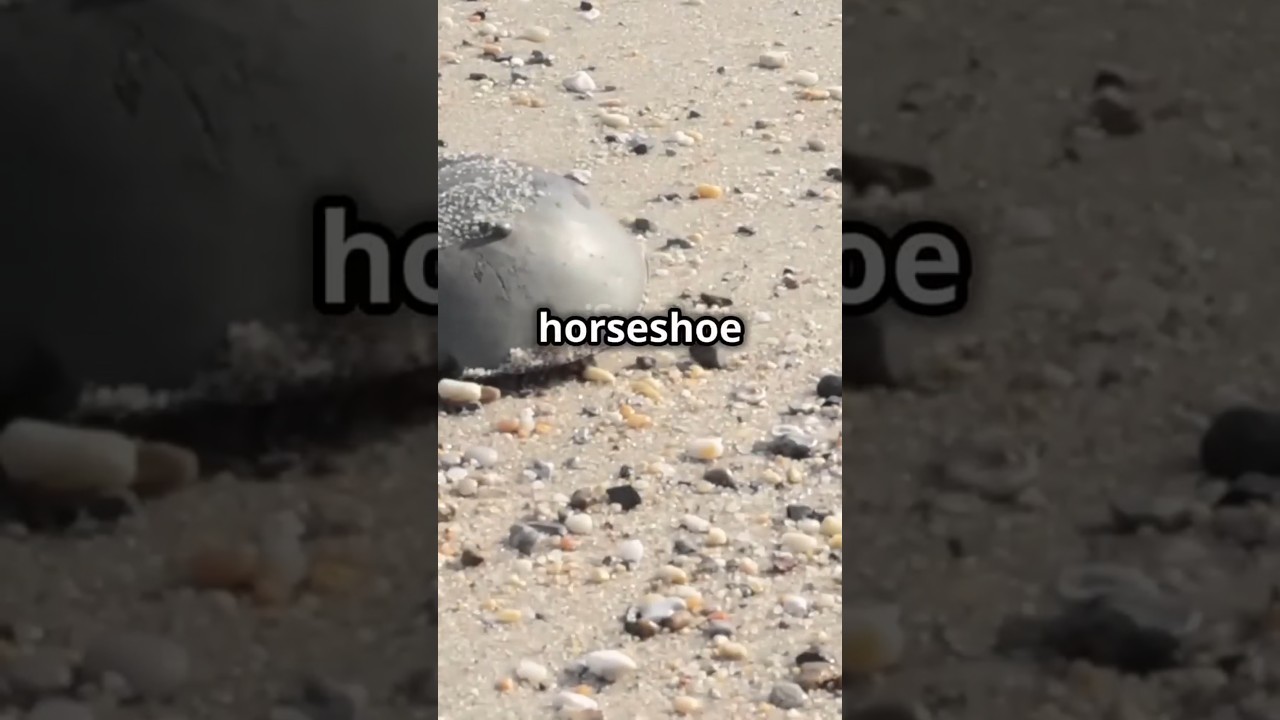 The World's Most Expensive Liquids!