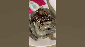 Сочные и невероятно вкусные креветки 🦐 ваннамей!
