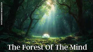 THE FOREST OF THE MIND with Judi: Powerboost Meditation