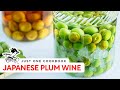 How to Make homemade JAPANESE PLUM WINE (Umeshu) 梅酒の作り方 (レシピ)