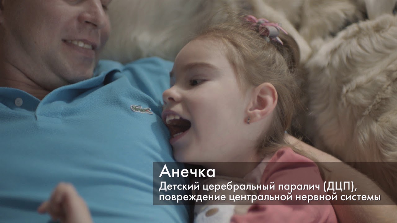 Канистерапия в группе "Солнечный пес" - YouTube