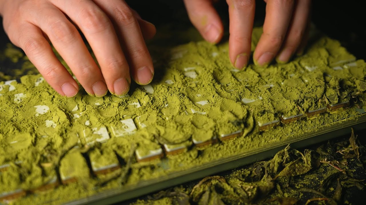 Green Tea Collection ASMR