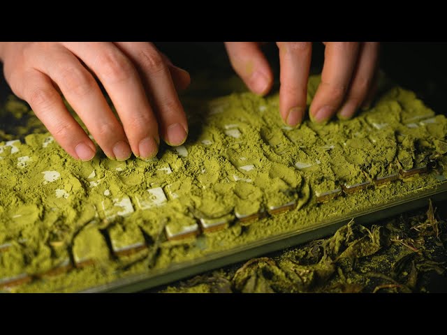 Green Tea Collection ASMR