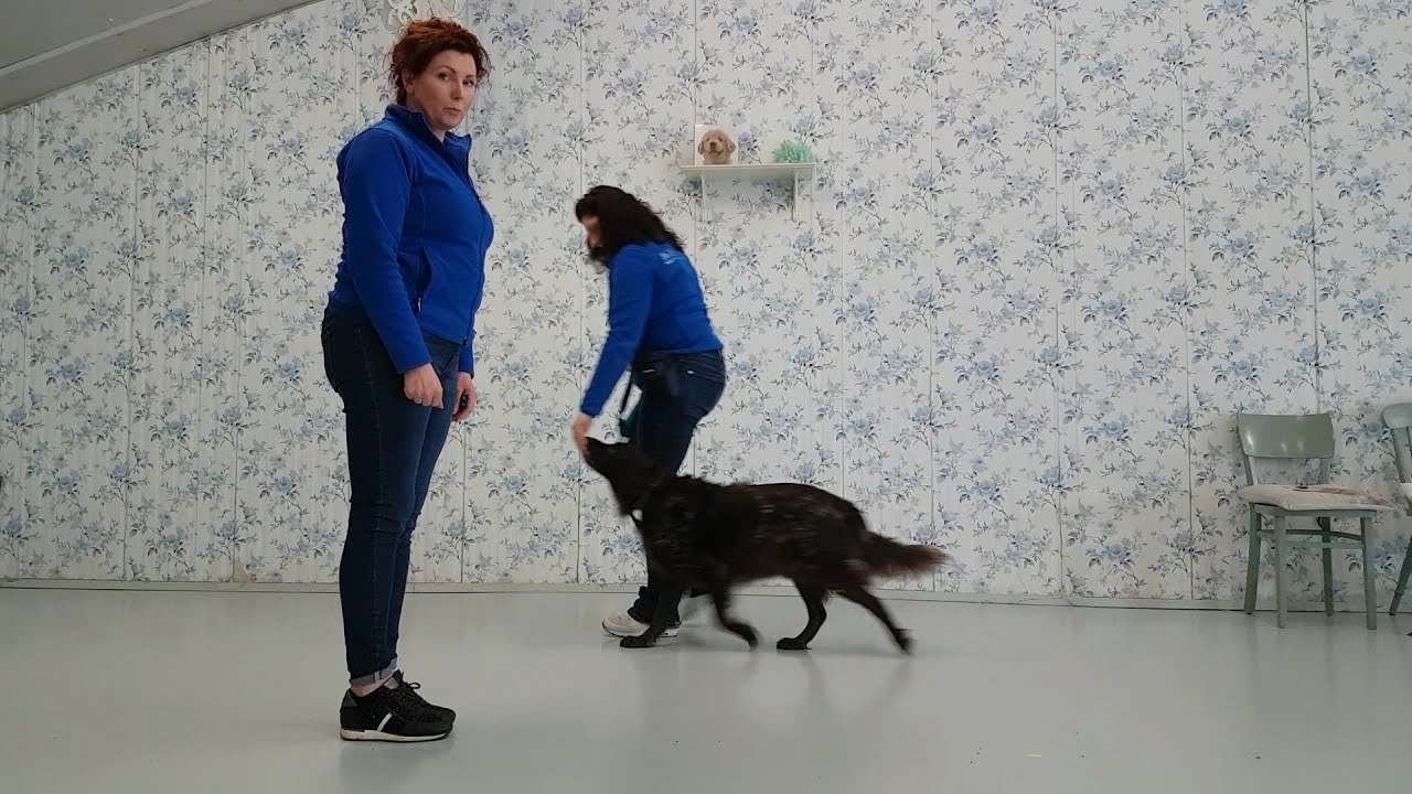 Wandelen zonder trekken