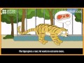 Were going to the zoo  nursery rhymes  kids songs  learnenglish kids british council