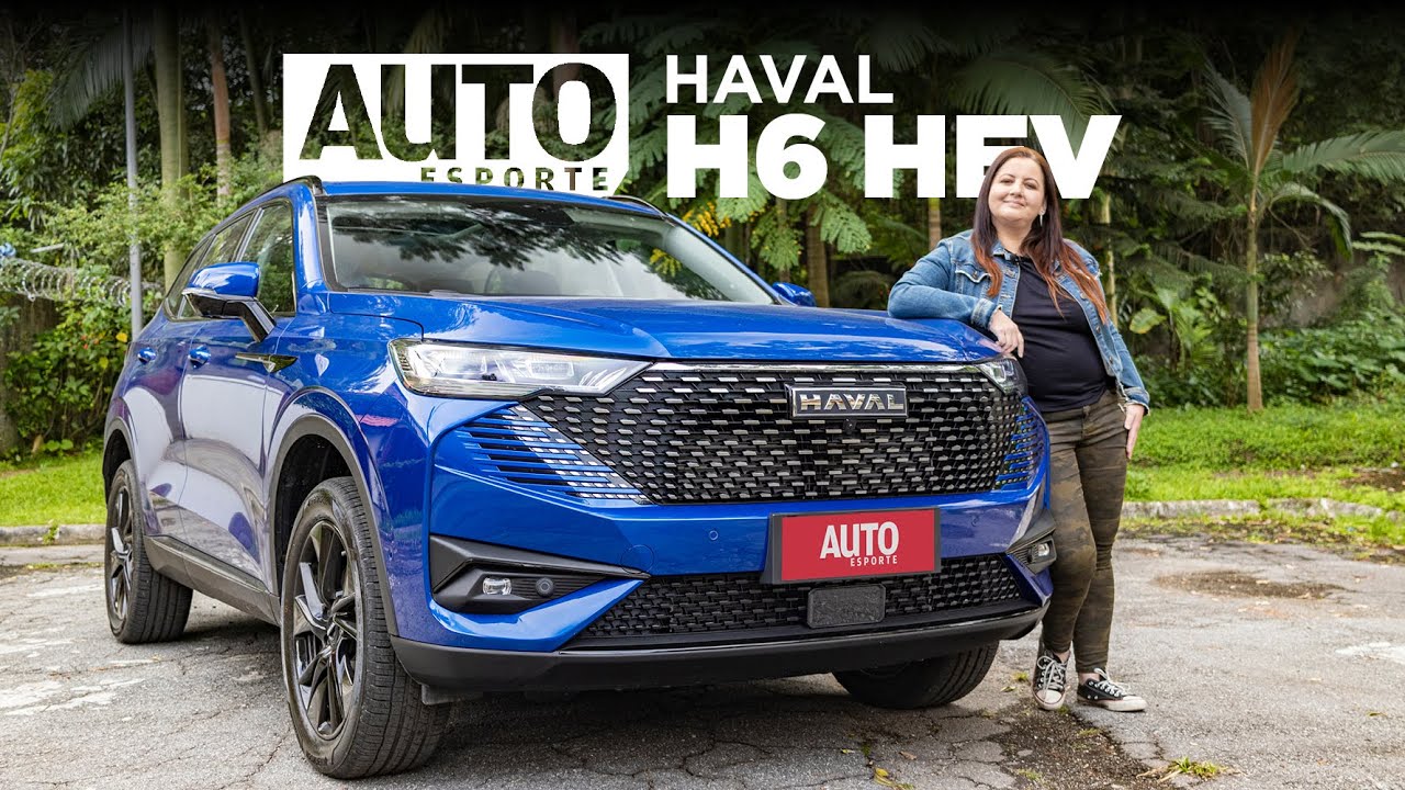 Haval h6 программа диагностики