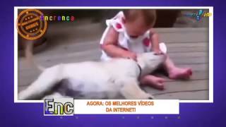 Encrenca Confira Os Vídeos Com Os Bichos Mais Loucos Da Web