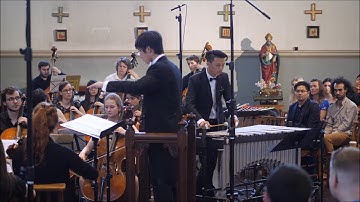 Sejourne | Concerto for Vibraphone and String Orchestra Movement 1 | Yu Xiu Tsai, Jack Wong