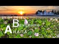 Download Анапа вечером. Прогулка в парке. Поющие фонтаны. Лебеди Анапа вечером. Прогулка в парке. Поющие фонтаны. Лебеди