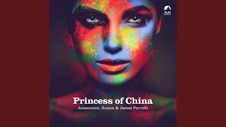 Video thumbnail of "Amazonics - Princess of China"
