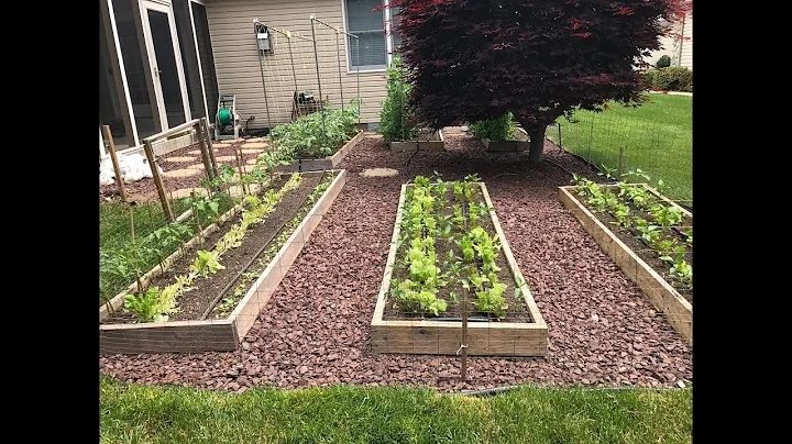 The Summer Garden is Up and Running