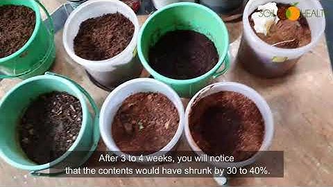 ಕನ್ನಡ: Jugaad (Dabba) Composting and Growing in the same container